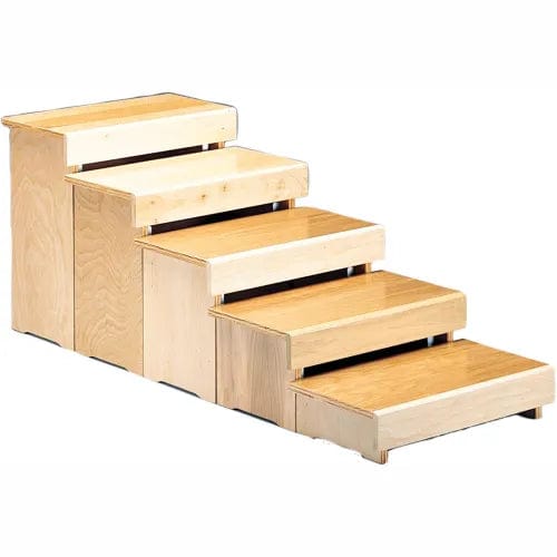 Centerline Dynamics Exercise & Fitness Wheelchair Training Stools, Set of 5