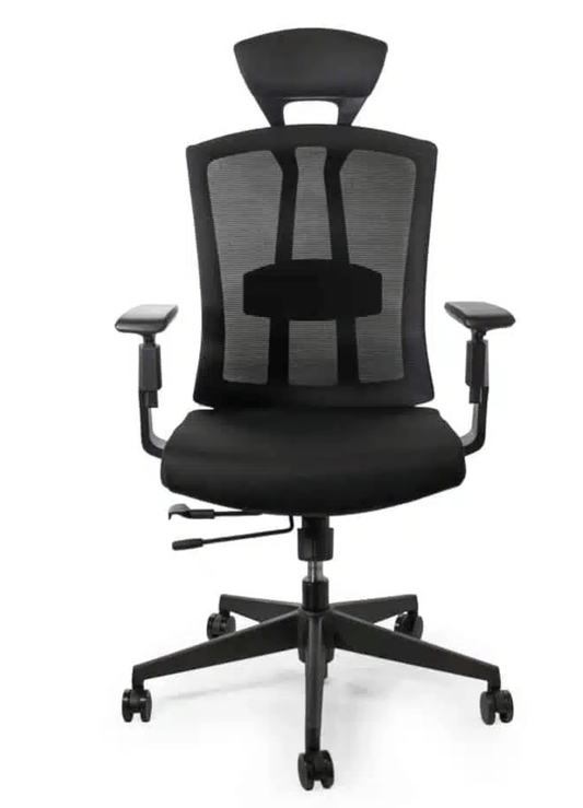 Sunline The Ergo Plus Office Chair