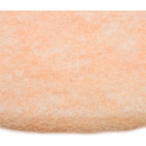 Centerline Dynamics Accessories & Supplies 3M™ 20" TopLine Speed Burnishing Pad, Beige, 5 Per Case