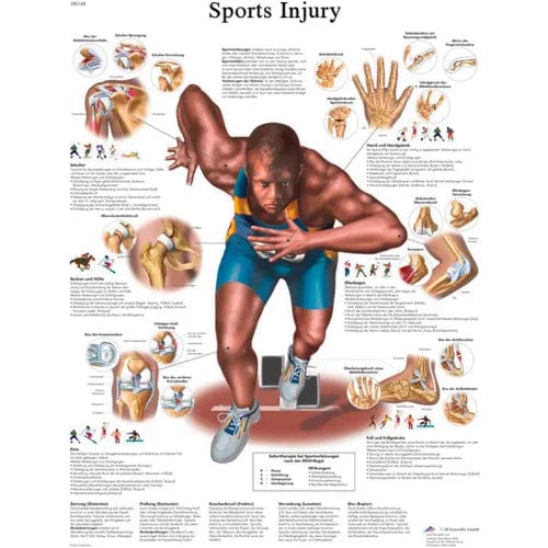 Centerline Dynamics Anatomical Models & Charts Anatomical Chart - Sports Injuries, Sticky Back