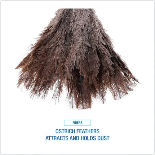 Centerline Dynamics Brooms & Dusters Professional Ostrich Feather Duster, Gray, 14" x 6"