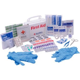 Centerline Dynamics First Aid Kit First Aid Kit, 10 Person, ANSI Compliant, Plastic Case